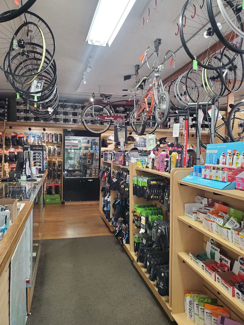 Sunshine Bicycle Center photo 2
