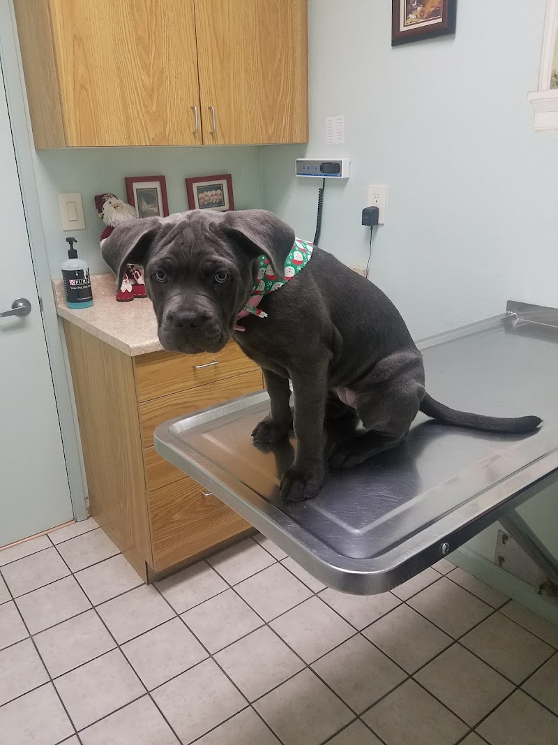 VCA Cypress Animal Hospital photo 3