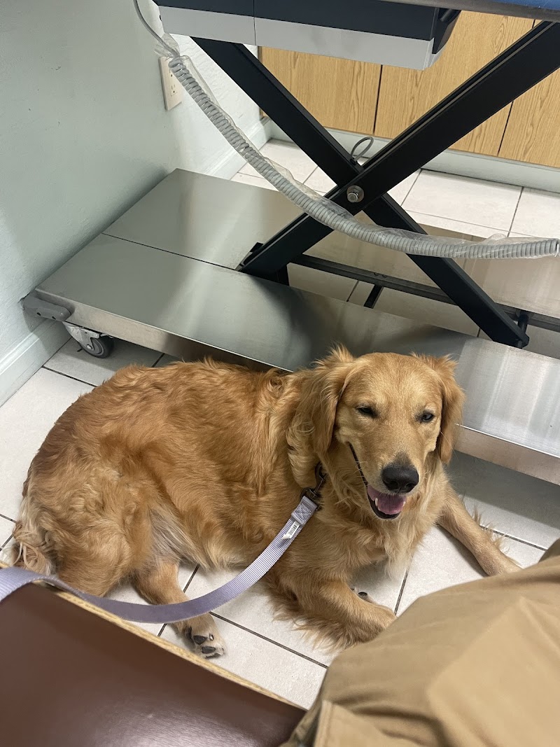 Photo of VCA Cypress Animal Hospital