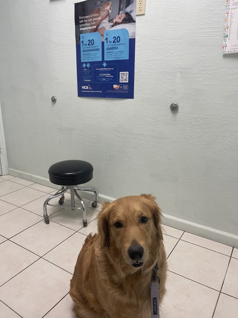 VCA Cypress Animal Hospital photo 4