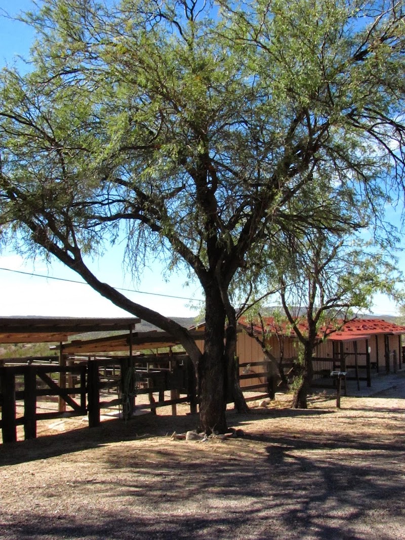 Rancho Casitas photo 4