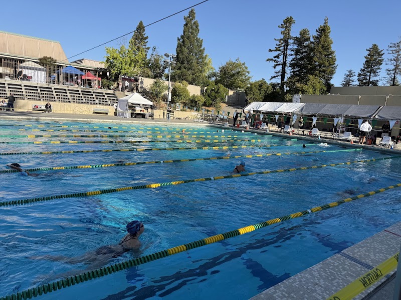 Photo of Napa Valley Swim Team