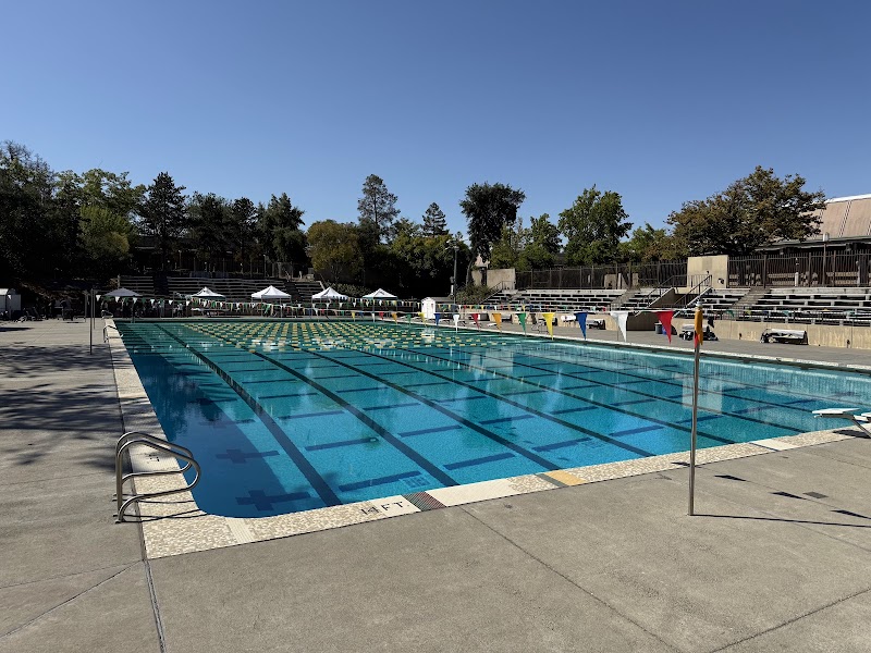 Napa Valley Swim Team photo 2
