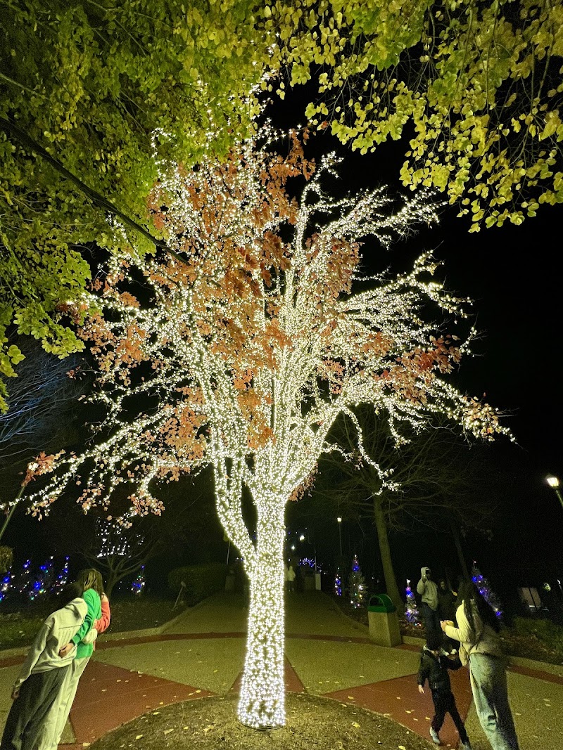 Busch Gardens Williamsburg photo 3