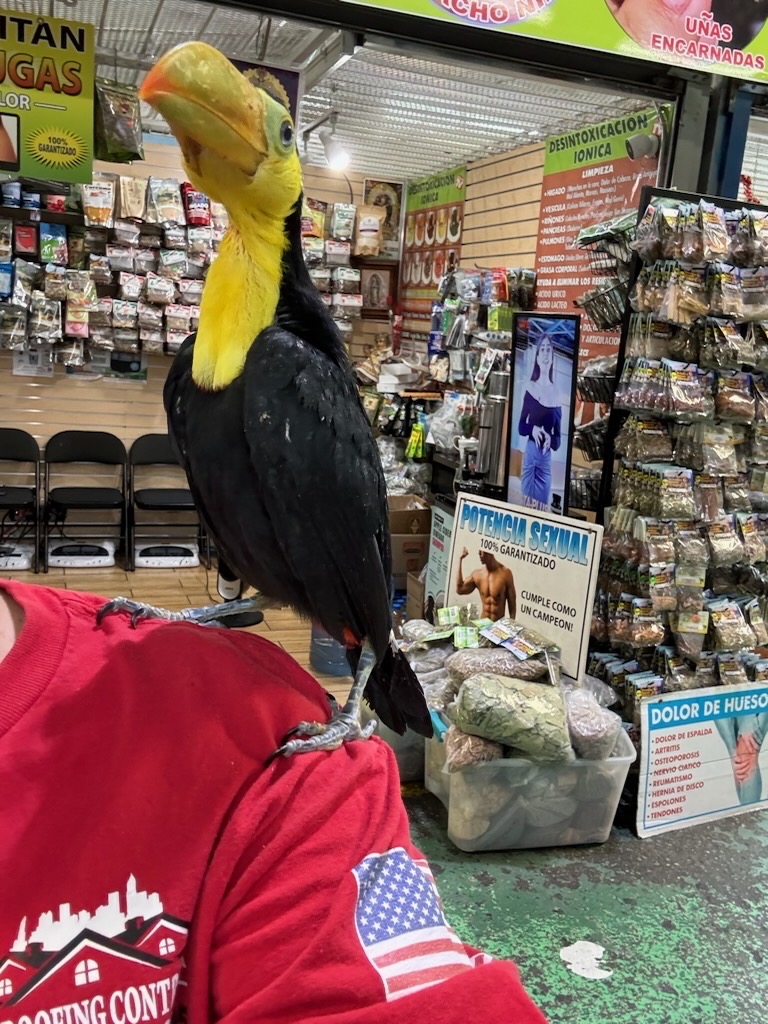 Pet shop Los angelitos photo 4