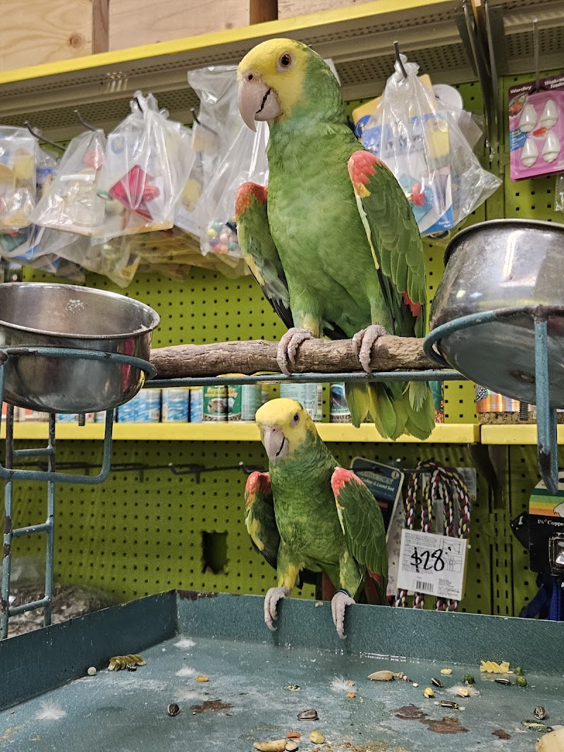 Pet shop Los angelitos photo 5