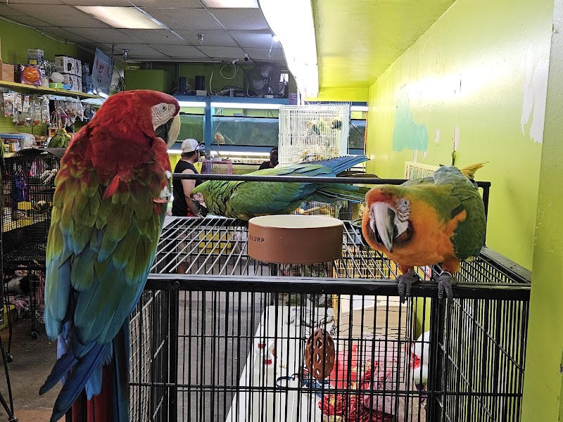 Pet shop Los angelitos photo 2