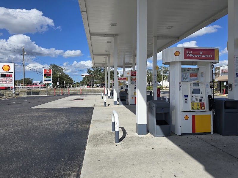 Shell photo 5