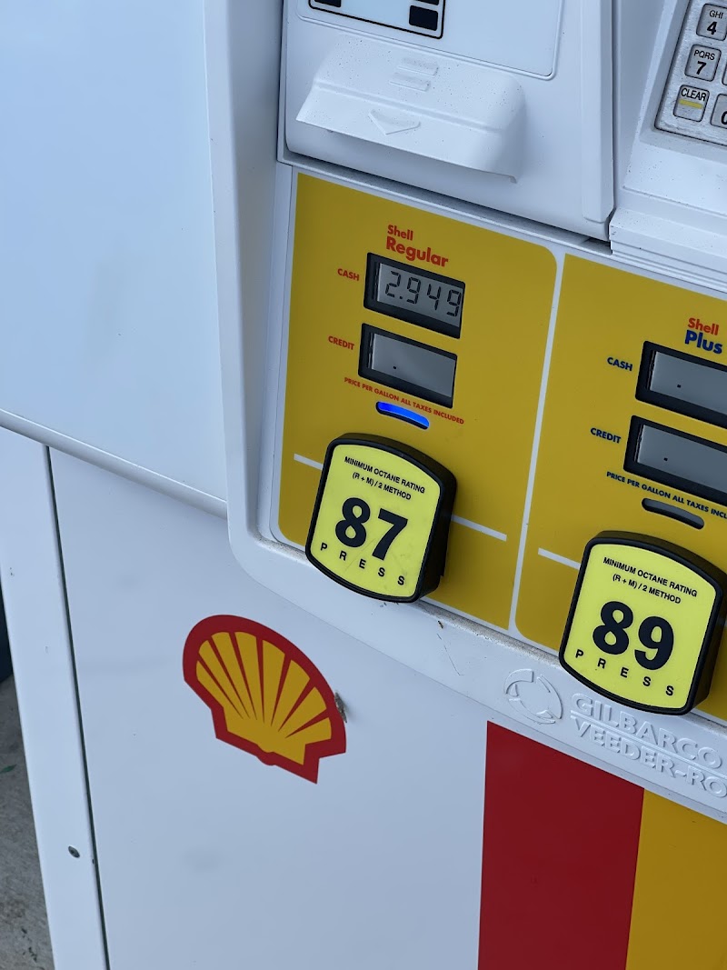 Shell photo 4