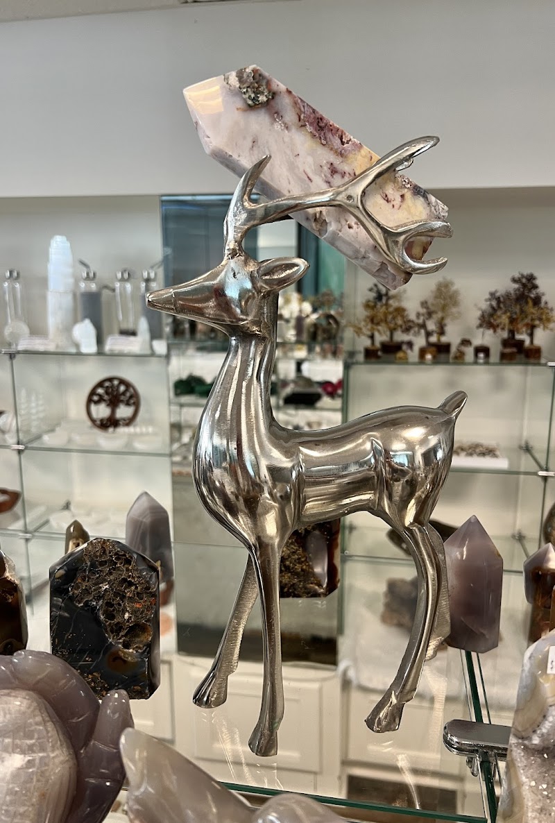 Kristal Cove Shop photo 5