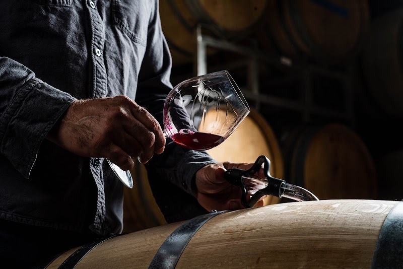 Photo of Auteur Wines