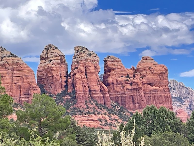 Arizona Safari Jeep Tours photo 3