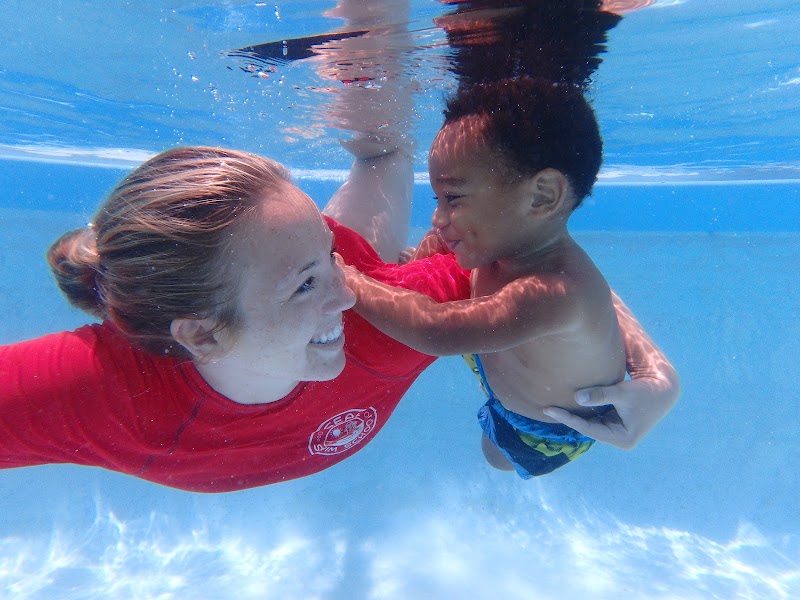Photo of Seal Swim School North Pinellas