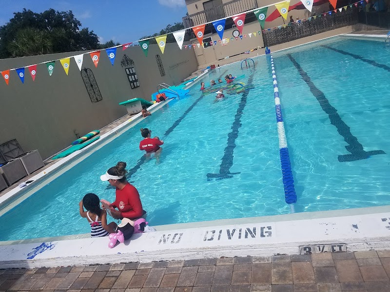 Seal Swim School North Pinellas photo 2