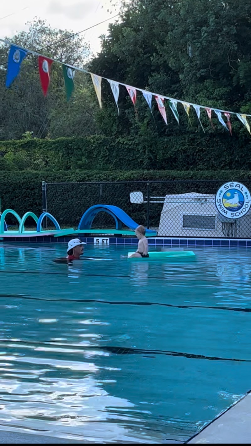 Seal Swim School North Pinellas photo 4