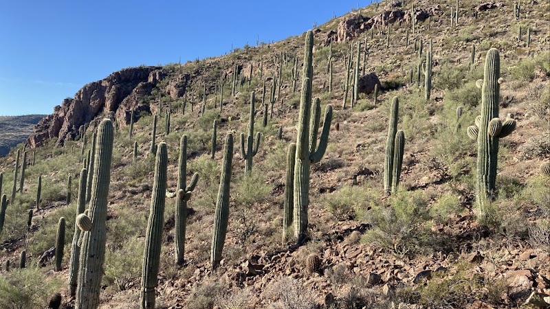 Photo of Southwest Discoveries