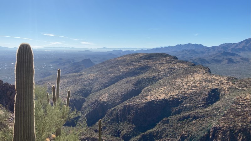 Southwest Discoveries photo 2