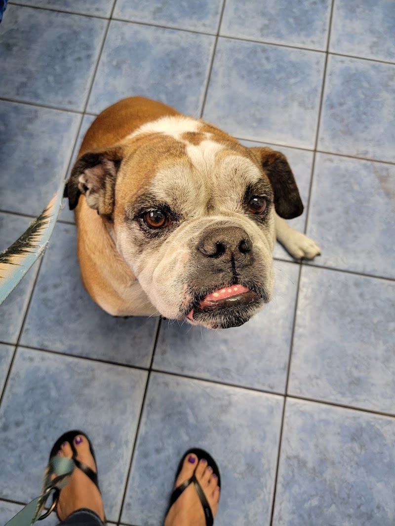 County Line Animal Hospital photo 5