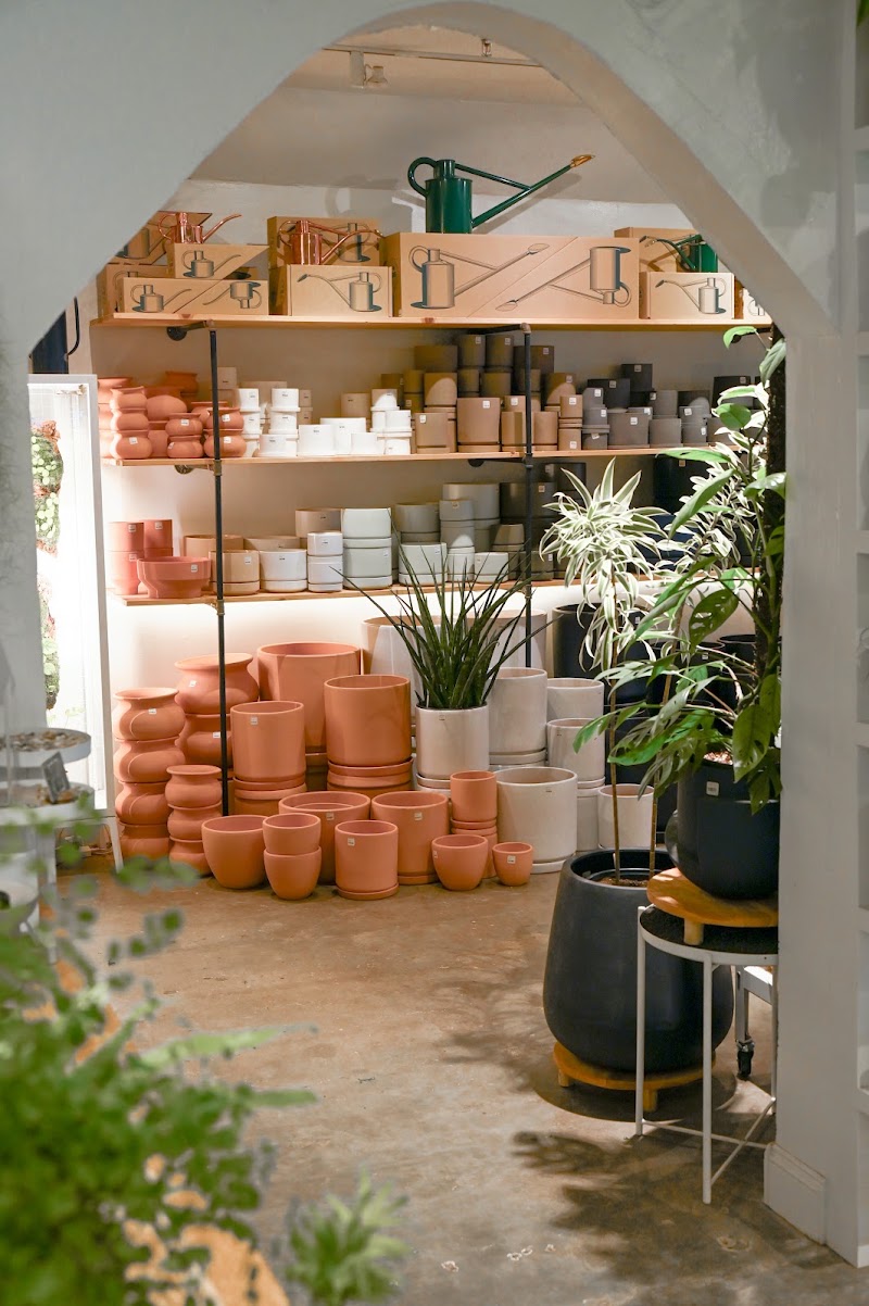 Photo of Diameter Plants