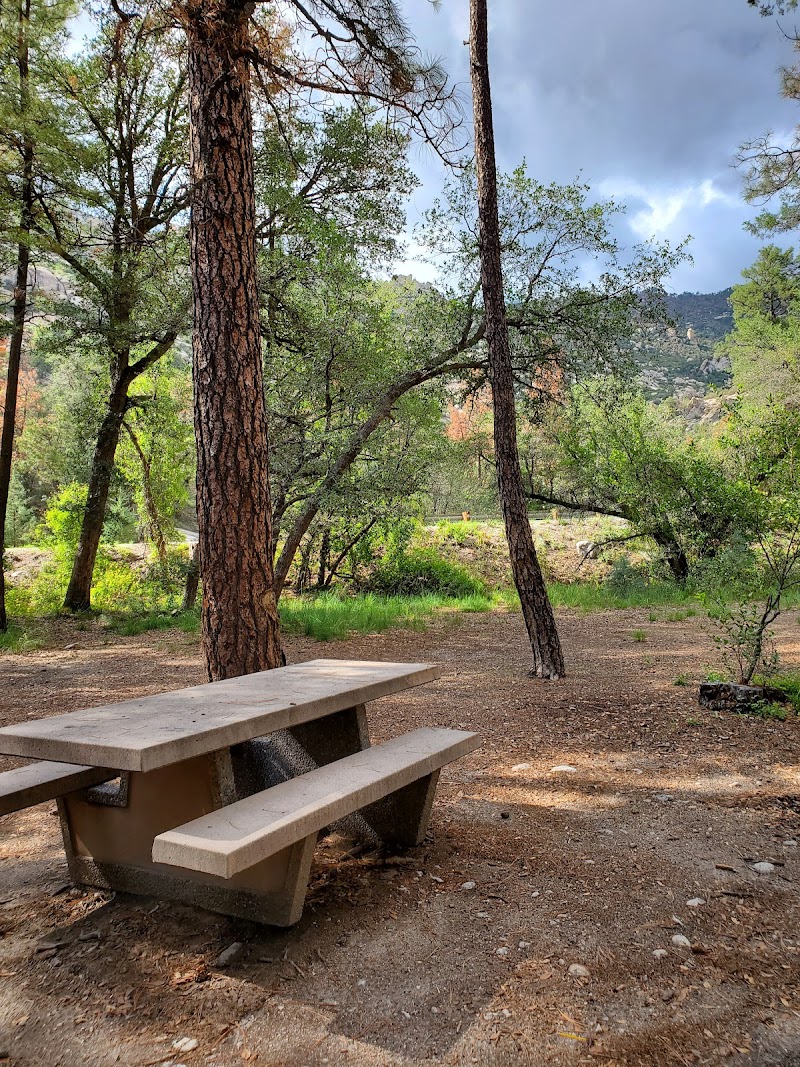 Middle Bear Pullout photo 4