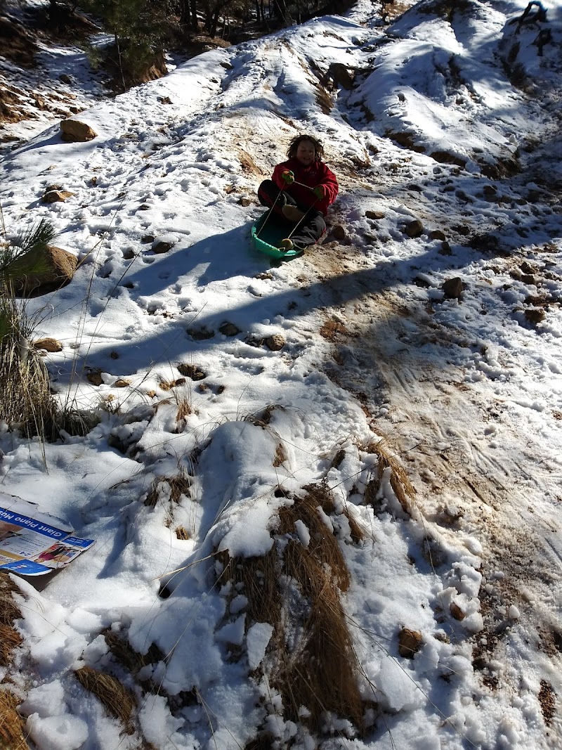 Middle Bear Pullout photo 5