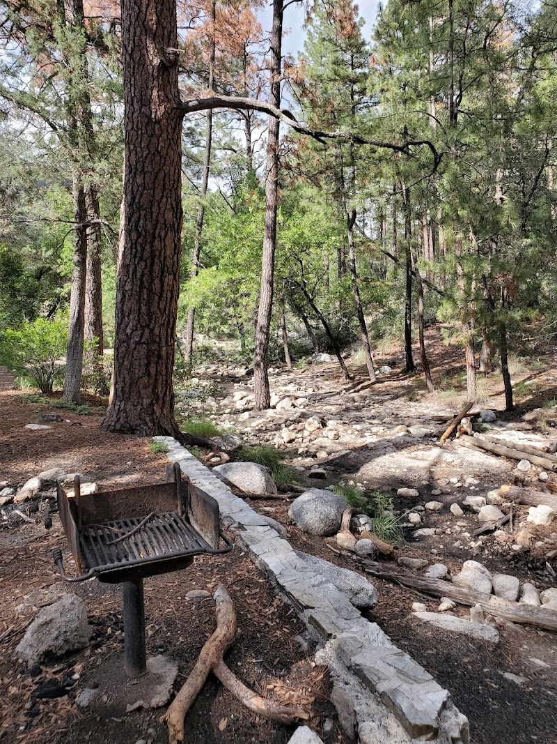 Photo of Middle Bear Pullout