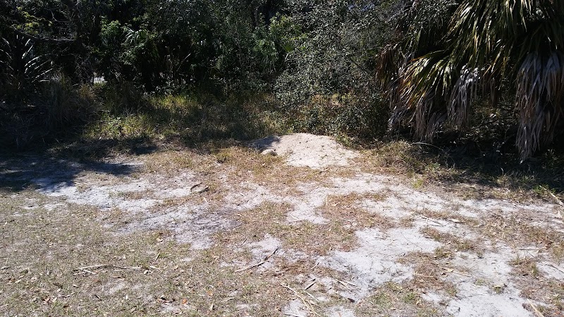 North Pinellas RV Storage photo 4