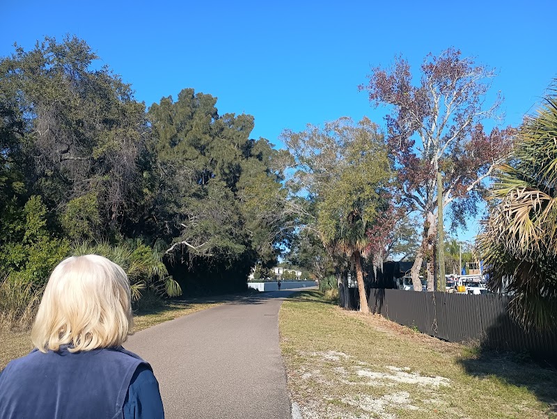 North Pinellas RV Storage photo 3