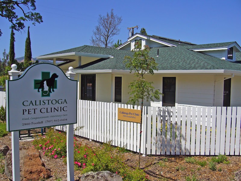 Calistoga Pet Clinic photo 3