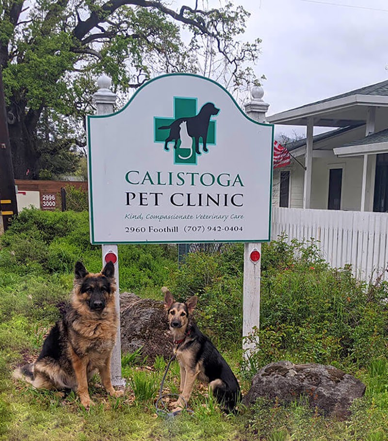 Calistoga Pet Clinic photo 4
