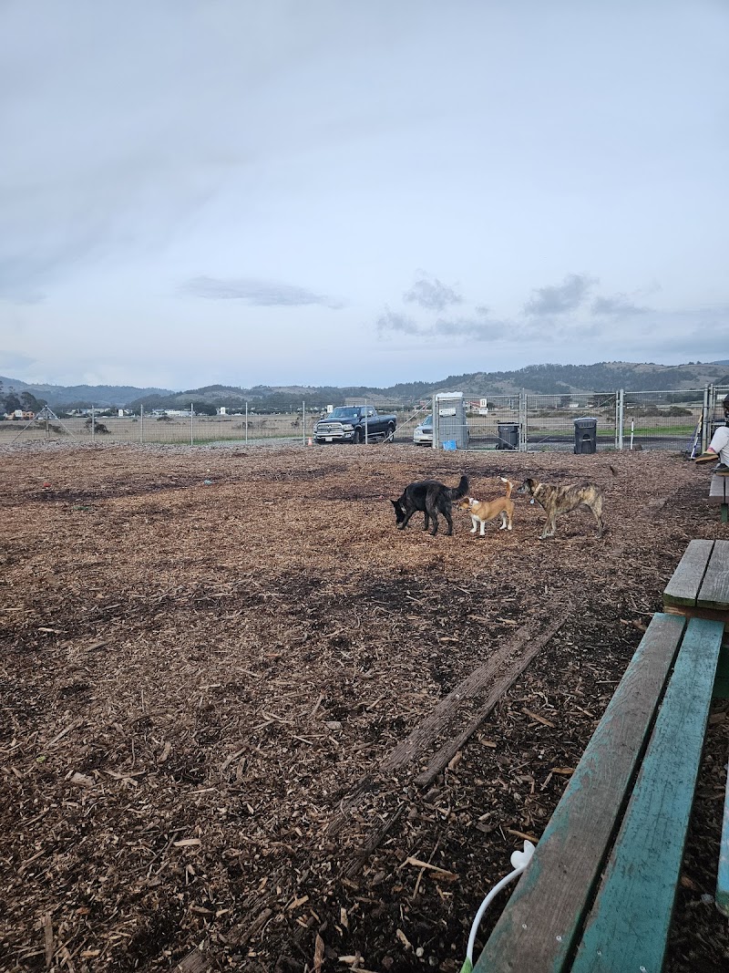 Photo of Half Moon Bay Dog Park