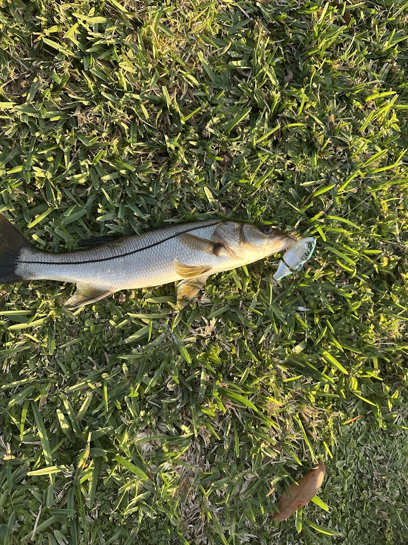Fishing Pier photo 2