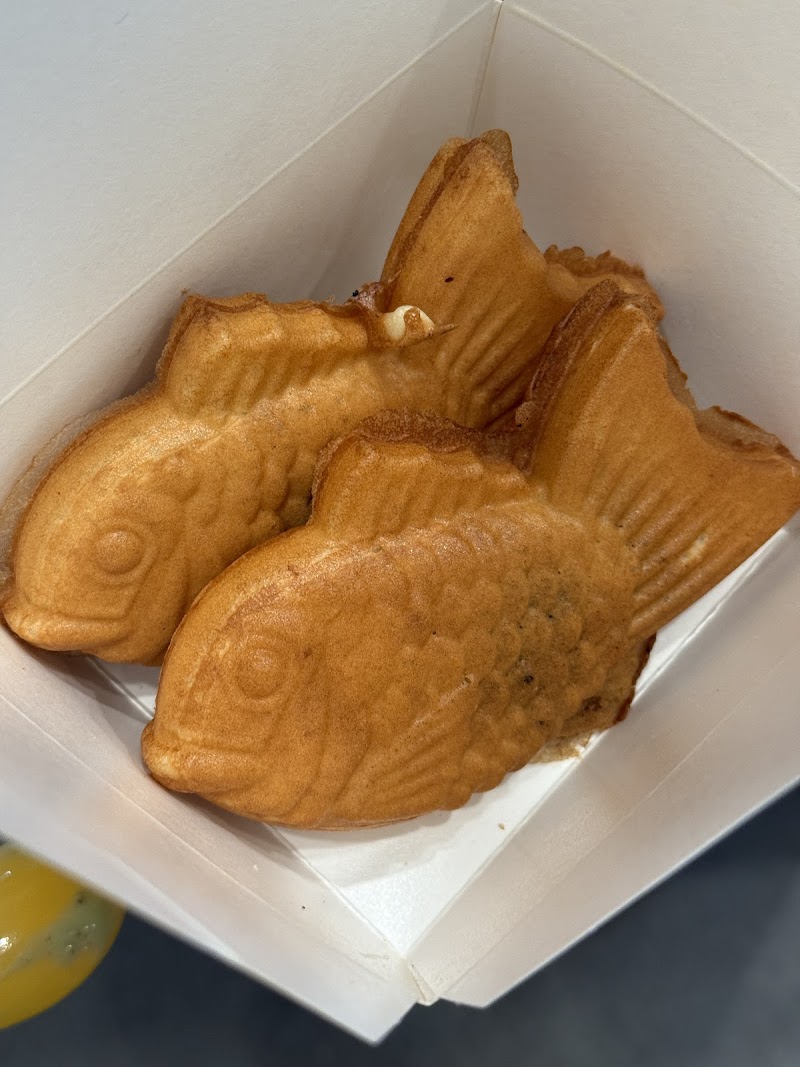 Somisomi photo 4