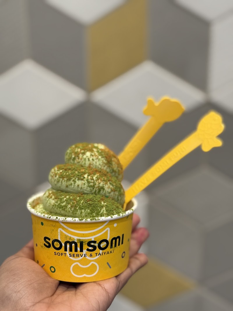 Somisomi photo 3
