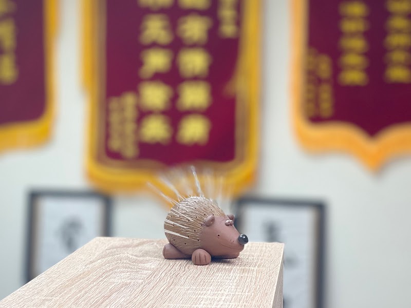 Situ Healing Acupuncture photo 4