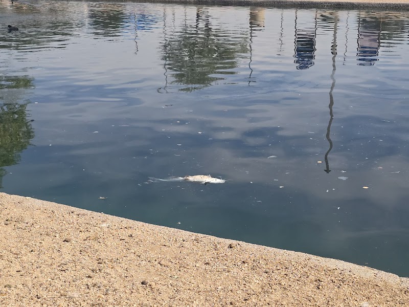 Friendship Park Pond photo 5