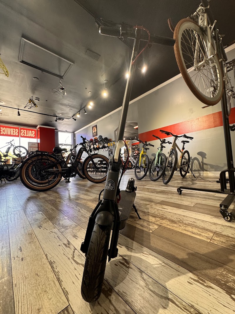 Tarpon Tom's E-bikes photo 2