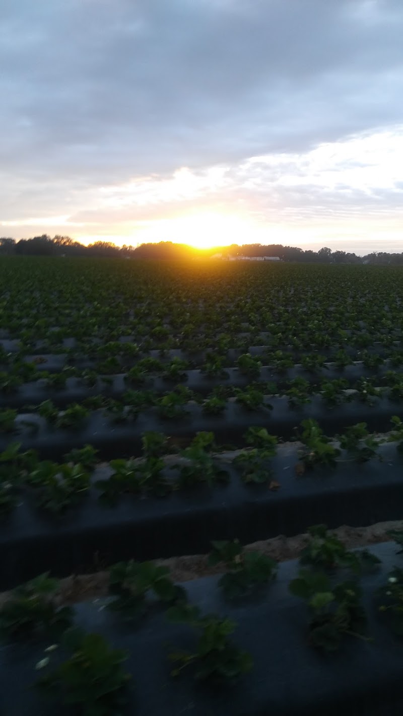 Photo of R & w Farms