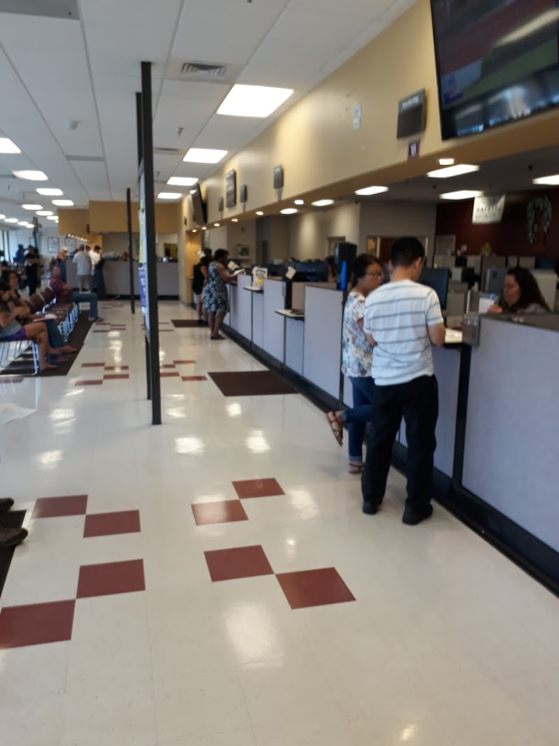 Hillsborough County Tax Collector photo 4