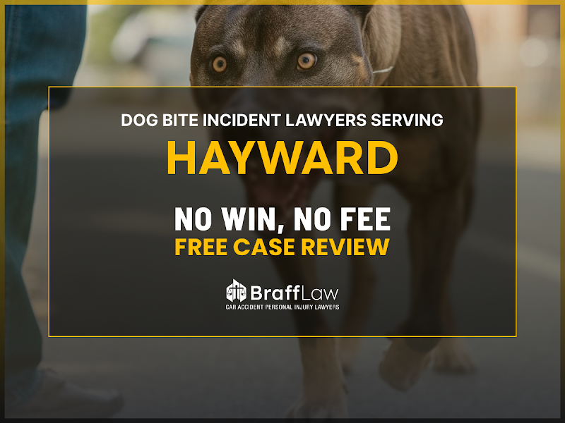 Braff Law Car Accident Personal Injury Lawyers photo 4