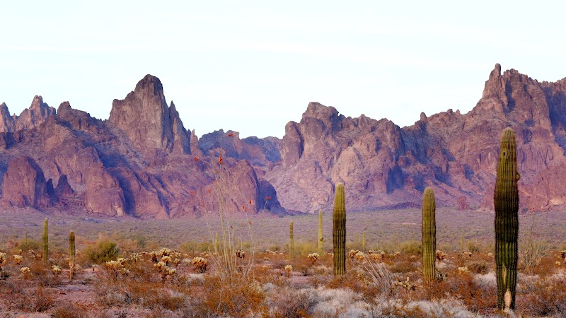 Kofa National Wildlife Refuge photo 2