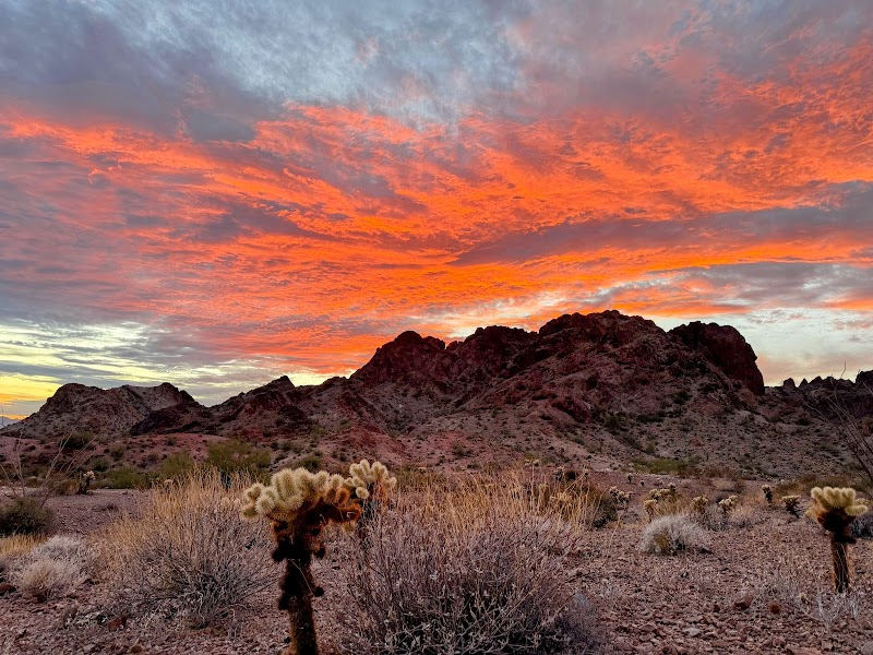 Photo of Kofa National Wildlife Refuge