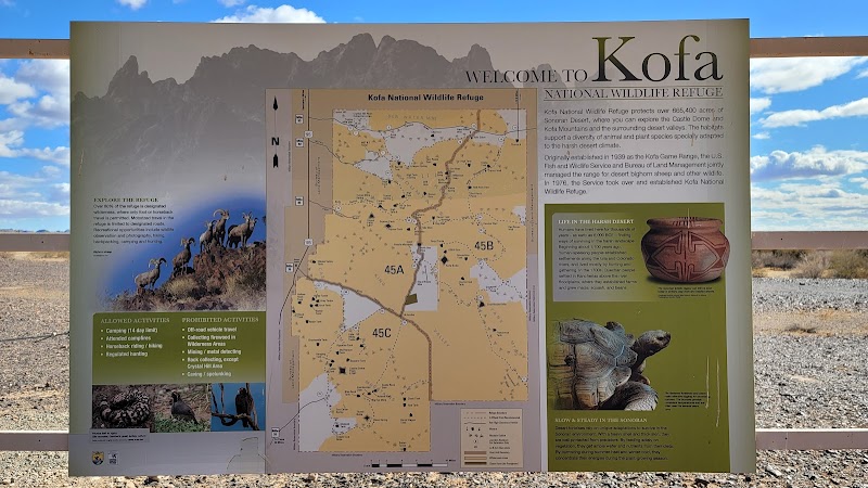 Kofa National Wildlife Refuge photo 4