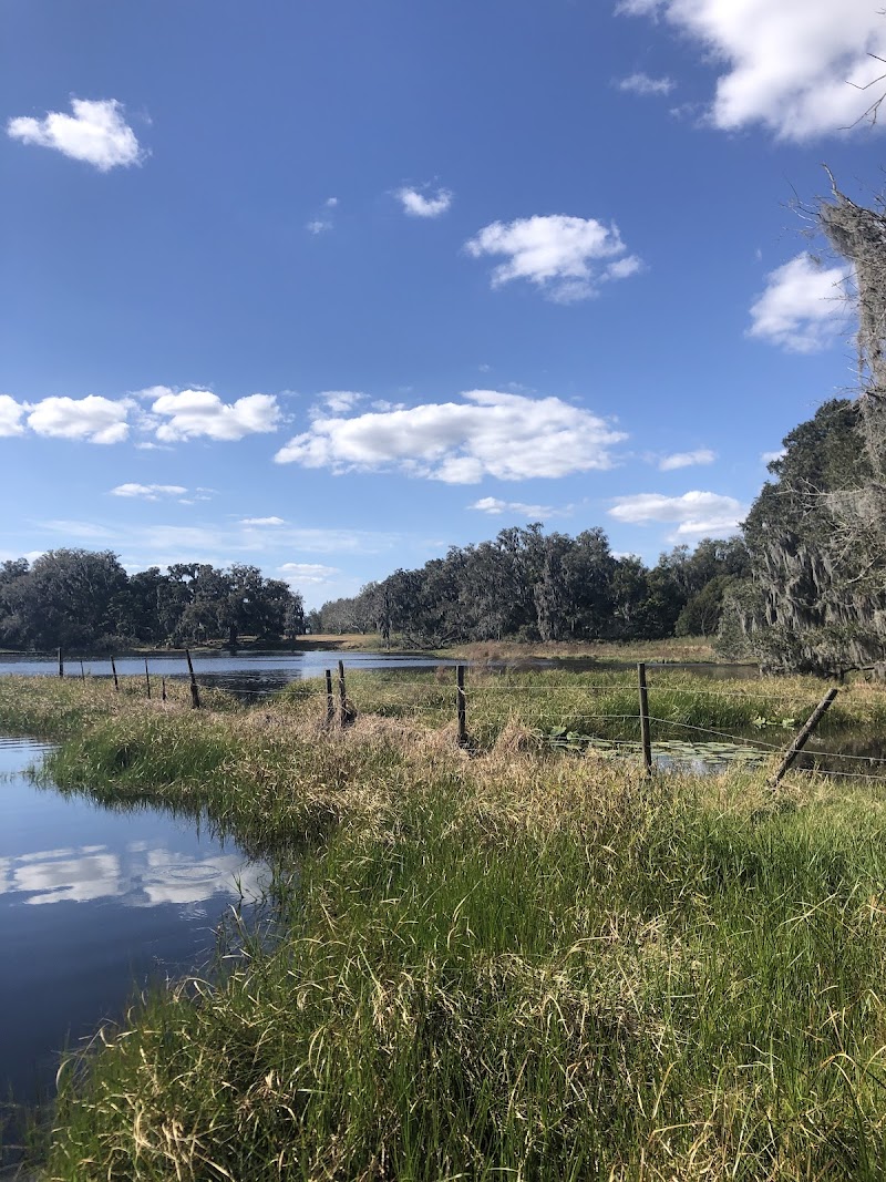 Mirada Nature Walk photo 2