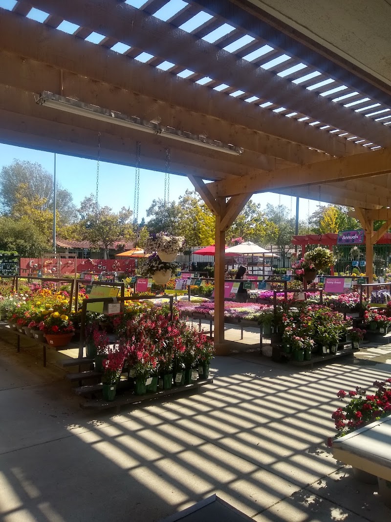 SummerWinds Nursery photo 4