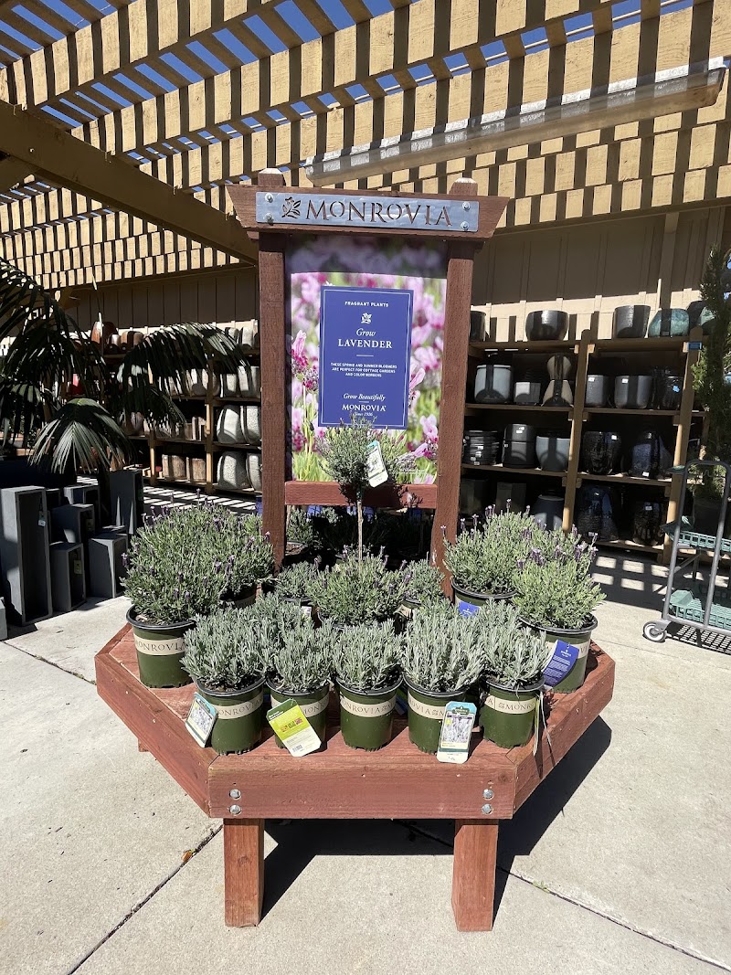 SummerWinds Nursery photo 5
