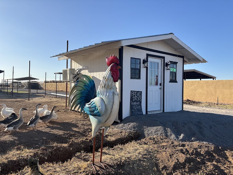 Green Acres Farm AZ photo 4