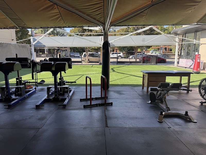 Los Gatos Sports Chiro photo 2