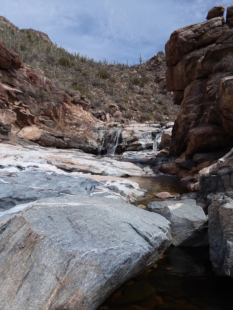 Cloudbase Ranch photo 3