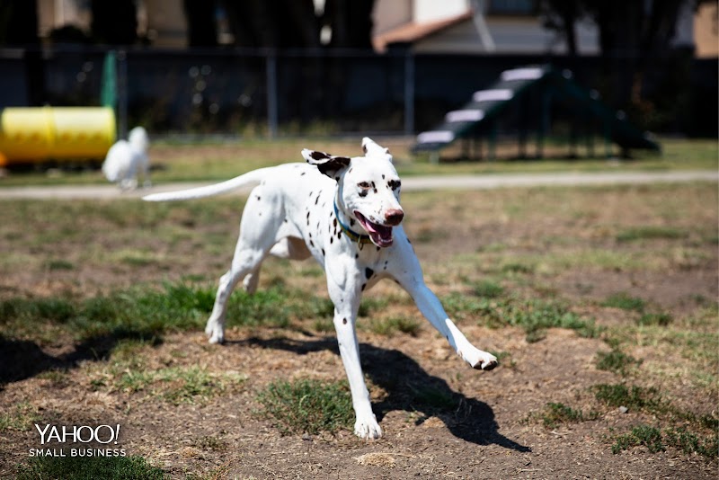 Photo of EntirelyPets